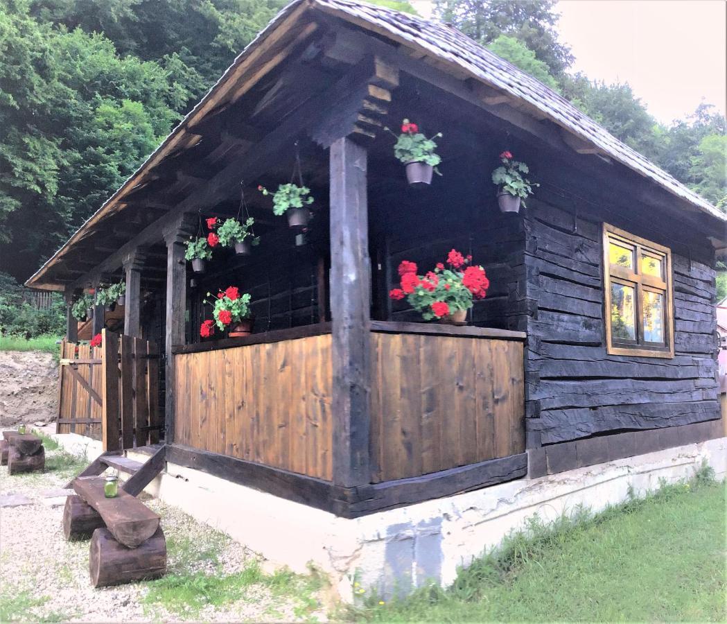 Gradistea de Munte Casuta Din Valea Regilorヴィラ エクステリア 写真