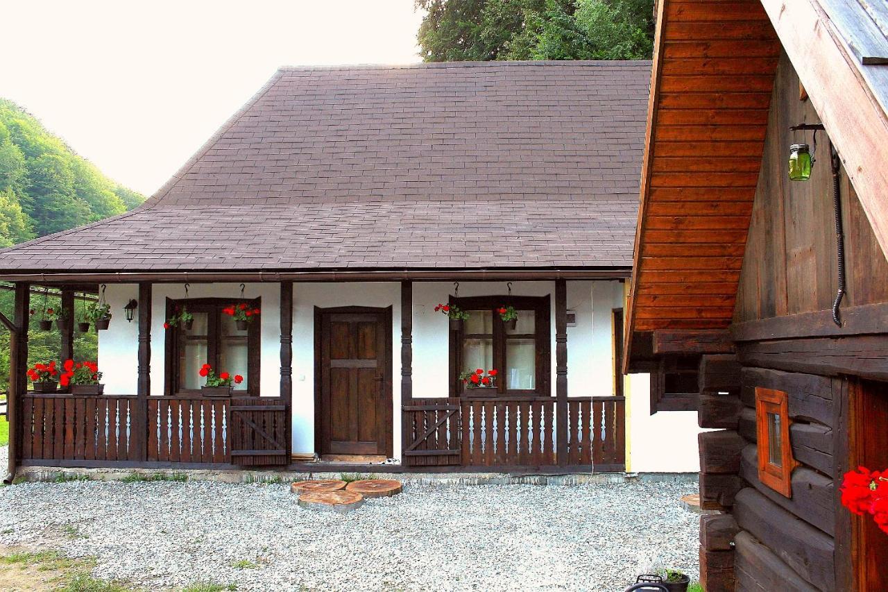 Gradistea de Munte Casuta Din Valea Regilorヴィラ エクステリア 写真