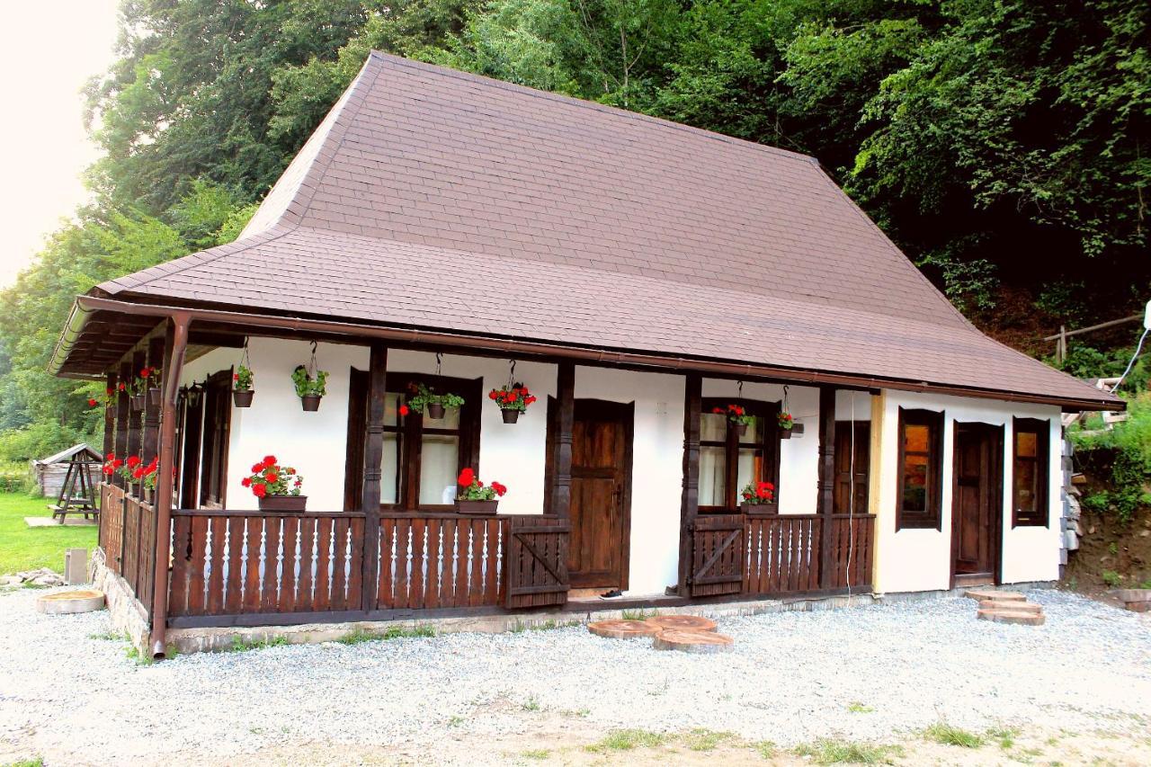 Gradistea de Munte Casuta Din Valea Regilorヴィラ エクステリア 写真