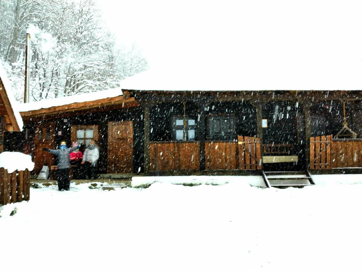 Gradistea de Munte Casuta Din Valea Regilorヴィラ エクステリア 写真